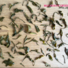 Biluochun Green Tea | Jade Spiral Spring |碧螺春 - Image 5
