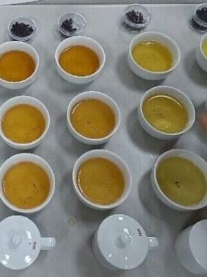 Taiwan Specialty Tea Introduction